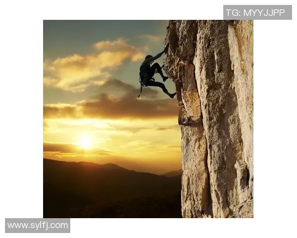 姚明阳精神：从篮球场到人生舞台的奋斗与坚持之路